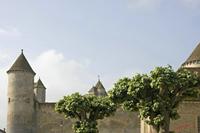 Cjp_2010_05_28_074859 (1).jpg